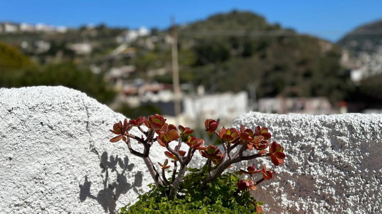 Villa La Milanina Lipari Kültér fotó