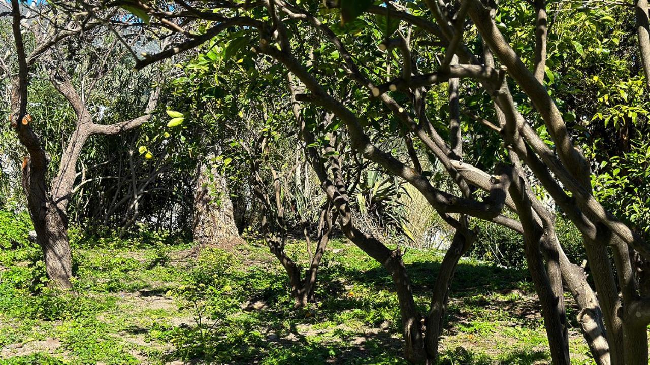 Villa La Milanina Lipari Kültér fotó